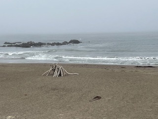 Northern California Beach