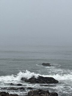 Northern California Beach