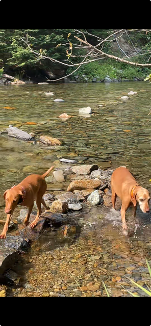 Break time from the roadtrip.