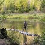 Stretching their legs in Wallace ID.