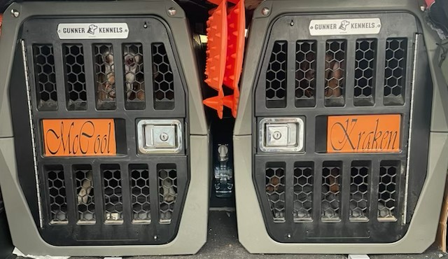 Finn McCool and Zeal (The Kraken) in their Gunner Kennels.
